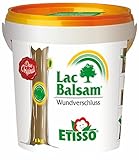 Etisso LacBalsam® Wundverschluss - 1kg mit Streichspachtel