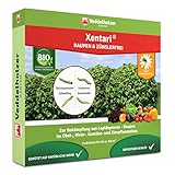Veddelholzer Xentari® 8 x 2g Raupen & Zünslerfrei gegen Buchsbaumzünsler, Raupen & Schadraupen. Xentari Raupenfrei Buchsbaumzünsler Spritmittel für Bio Landbau geeignet Nicht Bienengefährlich.