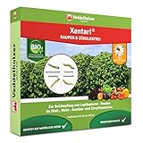 Veddelholzer Xentari® 8 x 2g Raupen & Zünslerfrei gegen Buchsbaumzünsler, Raupen & Schadraupen. Xentari Raupenfrei Buchsbaumzünsler Spritzmittel für Bio Landbau geeignet Nicht Bienengefährlich.