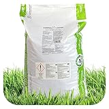 TerraDomi Eisendünger 25kg für ca. 1000m² | Turbo-Dünger abgestimmt auf Rasenflächen mit Moos | Granuliert, streuwagengeeignet und staubfrei