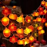 Ferakum Herbs Deko LED Lichterkette 2M/3M Mit 10/20 Warmlicht IP44 Wasserdicht Batteriebetrieben Für Fenster Party Ahornblatt Kürbis Erntedankfest Herbstdeko (B)
