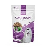 Hundekekse Coat Boom Natürlicher Snack für Hunde