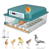 TDUAOLGX Brutmaschine Vollautomatisch Hühner Brutautomat Vollautomatisch Hühner Inkubator Hühner Vollautomatisch für 12-16 Eier