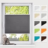 BelleMax Plissee ohne Bohren Klemmfix, Anthrazit 40x130cm(BxH), Easyfix lichtdurchlässig Sichtschutz und Sonnenschutz, Jalousie Plisseerollo mit Klemmträger, Faltrollo für Fenster & Tür