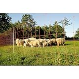 Euronetz Plus 106 cm - Schafnetz mit Doppelspitze, 50 m