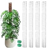 Sionhiuo Moosstab Für Die Monstera Pflanze | Vertikale Wachstumsstützen | Pflanzen Stäbe Für Topfpflanzen Und Kübelpflanzen | Für Innen- Und Außenbereich, Gärten, Veranden, Rasen, Balkone,