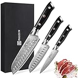 PAUDIN Damastmesser set, Messerset 3-teilig, Damast Küchenmesserset mit Ultra Scharfes Santokumesser Küchenmesser aus 67 Schichten Damaststahl mit Japanischem VG10 Stahl Kern, Ergonomischer G10 Griff