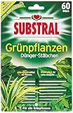 Substral Dünger-Stäbchen für Grünpflanzen mit Eisen-Plus und 2 Monate Langzeitwirkung, 60 Stück, green