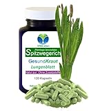 SPITZWEGERICH 120 Kapseln Lungenblatt Lunge- und Atemwege Gesundkraut nach Hildegard von Bingen - 100% NATUR pur [OHNE Zusatzstoffe] 27385-120