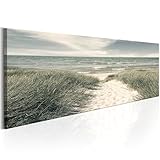 murando Acrylglasbild 135x45 cm 1 Teilig Wandbild auf Acryl Glasbilder Kunstdruck Moderne Acrylglas Platte Wanddekoration Geschenke Heimdekoration Glasbild c-C-0038-k-d