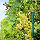 Vogelnetz 4x6m, Taubennetz Balkon mit 50 Kabelbinder, Vogelschutznetz Engmaschig - Taubennetz & Laubnetz für Balkon, Garten, Teich - Schützt Obstbäume, Gemüse, Sträucher