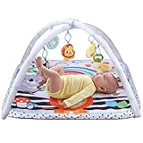 Baby-Spielmatte, Babyspielzeug 0-6 Monate, Babymatte Baby, Play Arch Baby Gym, Verstellbarer Bogen, kognitive Entwicklung