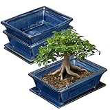2er-Set Bonsai Keramiktopf Bonsaischale mit Untersetzer und Entwässerungslöchern für Japanische Bonsai Zimmerpflanzen, Retro-Dekoration für Gartenbehälter-Sets im Freien, Durchmesser Öffnung 19cm