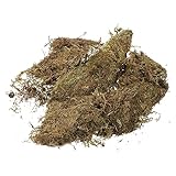 Gadpiparty 1 Satz Moosbettwäsche Moos Für Pflanzen Konserviertes Moos Gartenarbeit Getrocknetes Moos Natürliches Moos Zur Dekoration Szene Natürliches Moos Flechte Dekoratives Moos 2er-Pack
