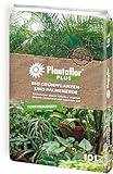 Plantaflor Plus Bio Grünpflanzen Palmenerde 10 Liter (1x 10 Liter)