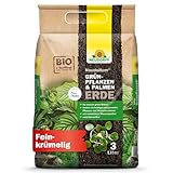 Neudorff NeudoHum Grünpflanzen- & PalmenErde – Torffreie Bio Erde, fördert gesunde Palmen und Grünpflanzen mit grünen Blättern wie z.B. Monstera, 3 Liter