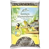 Dehner Natura Premium Wildvogelfutter, Sonnenblumenkerne, Ganzjahresfutter proteinreich / energiereich, hochwertiges Vogelfutter für Wildvögel, 5 kg