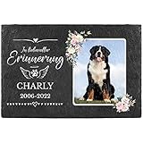 PfotenSchild Schieferplatte Gedenktafel für Hund & Katze - mit Foto und Name Bedrucken - In liebevoller Erinnerung - Tiergrabstein, wetterfest - Schiefertafel 20x30cm I personalisiert