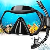 Hydomi Schnorchelset Erwachsene Anti-Fog Taucherbrille mit 180° Panorama Sichtfeld, Dry Top Schnorchel 3-Kanal System, Auslaufsichere Tauchmaske aus gehärtetem Glas für Tauchen Schwimmen