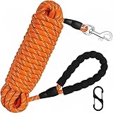 Long Line Hundeleine – 10 m, 20 m, 30 m, Nylon, reflektierend, Trainingsleine mit bequemem Griff für Wandern, Camping, Spazierengehen (Orange, 20 m)