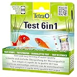 Tetra Pond Test 6in1 - Wassertest für den Teich, schnelle und einfache Überprüfung der Wasserqualität im Gartenteich, 1 Dose (25 Teststreifen)