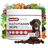 Multivitamin Drops I 24-in-1 Vitamine für Hunde I natürlich I Vitamin B Komplex Hund I Biotin, Algenöl (Omega 3) I Hunde Vitamine I Barf I bei Schwäche I mehr Vitalität & Immunstärkung I ca. 120 Stk.
