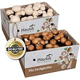 Hawlik Pilzbrut - Champignon Zuchtset - 2er Pilzzuchtbox Champignons Komplettset mit Anleitung - Erntefrische Pilze Zuhause züchten - ganz ohne Garten - für Anfänger & Kinder