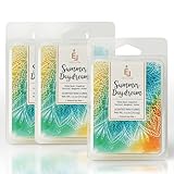 Earnest Living Duftwachs-Schmelzen Summer Daydream Weißer Moschus Grapefruit Patchouli Bergamotte Bernstein Wachswürfel Pack Heimwärmer Tart Elektrische Kerze Aroma Dekoration 256 Gramm (3-Pack)