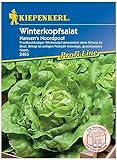 2465 Kiepenkerl Nansen's Noordpool Wintersalat Samen Winterhart | Bewährte Sorte | Wintergemüse Saatgut | Frühjahr u. Herbst | Wintergemüse Samen | Salat Samen