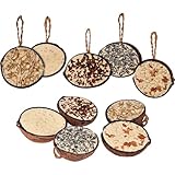 dobar® 10x gefüllte Kokosnuss Vogelfutter zum Aufhängen - 5 Sorten Vogelfutter für die Ganzjahresfütterung - Fettfutter-Füllungen für Wildvögel - Wildvogelfutter 2 kg (1er Pack)