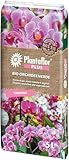 Plantaflor Plus Bio Orchideenerde 5 Liter (1x 5 Liter)