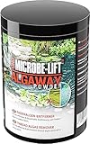 MICROBE-LIFT Pond Algaway Powder Fadenalgenentferner - beseitigt schnell & effektiv Algen in jedem Teich & verhindert deren Neubildung (1000g)