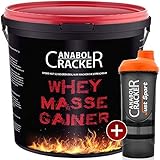 Whey Masse Gainer, Eiweisspulver, 3000g Eimer, Erdbeere, Toffi oder Vanille + Proteinshaker, Sonderangebot Anabol Cracker (VANILLE - Geschmack)