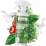 Schachtelhalmspray 1 l | gebrauchsfertig | vorbeugender natürlicher Schutz | Abwehr gegen Mehltau und Mehltau | Für Gemüsegärten, Obstgärten und Bio-Kulturen