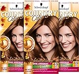 Country Colors Intensiv-Tönung 49 Cognac Haselnuss (3 x 123ml), Stufe 2, temporäre Haarfarbe für intensive Ergebnisse, Coloration hält bis zu 8 Wochen, ohne Ammoniak