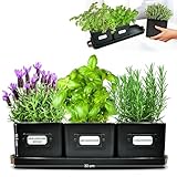 Green Thumbz 3 STK. Kräutertopf - Kräutertöpfe für Deinen Kräutergarten und Fensterbank Innen Dekoration - Basilikum Topf mit Ledergriffen & Untersetzer - Küchenkräuter Topf (Schwarz)