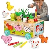 Winnrok Montessori Spielzeug ab 1 2 3 Jahr, Karotten Steckspiel Holz Motorikspielzeug, Sortierspiel Holzspielzeug Kinder, Lernspielzeug Geschenk Baby Junge Mädchen, Motorik Spielsachen für Einjährige