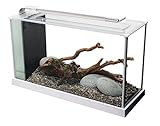 Fluval Spec 5 Nano Aquarium, mit 19L Fassungsvermoegen, in weiss