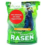 Rasensamen schnellkeimend Schattenrasen 2,5kg = 70m² Herbst - SEHR GUT getestet - trockenresistent | Rasen Reparatur, Rasen Nachsaat, Neuansaat