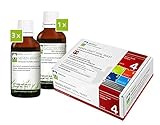 Wellnest Nieren-Kraft Detox-Kur-Paket (Entgiftungs-Kurpaket für 30 Tage Nierenreinigung nach Hulda Clark) - 100% pflanzlich - einfache Handhabung inkl. Magazin