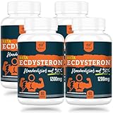 Beta-Ecdysteron Supplement 1200 mg pro Portion - 1-Monats-Vorrat - 98 % Ecdysteron mit höchster Reinheit (60 stück (4er Pack))