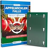 Apfelwickler Pheromonfalle [1 Stück] für wurmfreie Äpfel - Pheromonfalle Apfelbaum mit starkem Lockstoff, Monitoring-Obstmadenfalle wetterfest & unauffällig für Apfelbäume & Obstgärten