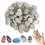 40 Stücke Steine zum Bemalen, 1-3 CM gemalter Kieselsteine Glatte Kieselsteine zum Bemalen Strand Kiesel, Kies Dekosteine Naturstein DIY Aquarium Steine für Bunte Malerei Dekoration