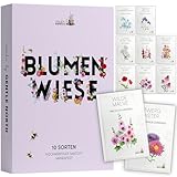 Blumen Samen Set - 10 bunte Blumensamen Sorten für den Garten oder Balkon, die Bienenweide und Wildblumenwiese - Blumenwiese Samen - bunte Wildblumensamen Mischung
