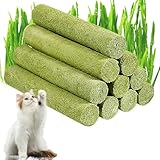 Katzengras Snack,Cat Grass Teething Stick,50g Gefriergetrocknet Snacks für Katzen für die Zahnpflege und Haarknäuel Entfernen, Katzenminze,Beißstab aus katzengras