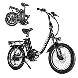 E-RIDES 20-Zoll faltbares E-Bike – 250W Motor, 48V 14.25Ah Akku, Reichweite 40-60 km, Aluminiumrahmen, IP54 wasserdicht, LED Licht, Scheibenbremsen, Shimano 7-Gang, max. 150 kg, 20 km/h Geschwindigkei