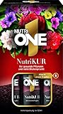 NutriONE NutriKUR Vorteilspack Dünger und Vitalkur für alle Zimmer- und Balkonpflanzen mit 4 Wochen Langzeitwirkung, 6x32 ml
