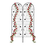 Relaxdays Rankgitter, 2er Set, HxB 180 x 50 cm, Metall, Rankhilfe für Kletterpflanzen, freistehend, zum Stecken, schwarz