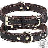 Joytale Hundehalsband Leder mit QR ID Tag, Weiches Echtleder Hundehalsband Langlebiges und Verstellbare für Mittlere Hunde, Braun, M