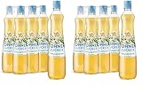 YO Sirup Holunderblüte (6 x 700 ml) – ohne Zucker, nur 2 Kalorien in 100 ml Fertiggetränk, vegan – 1x Flasche ergibt bis zu 6 Liter Fertiggetränk (Packung mit 2)